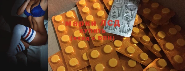 крисы Тында