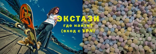 стаф Тайга