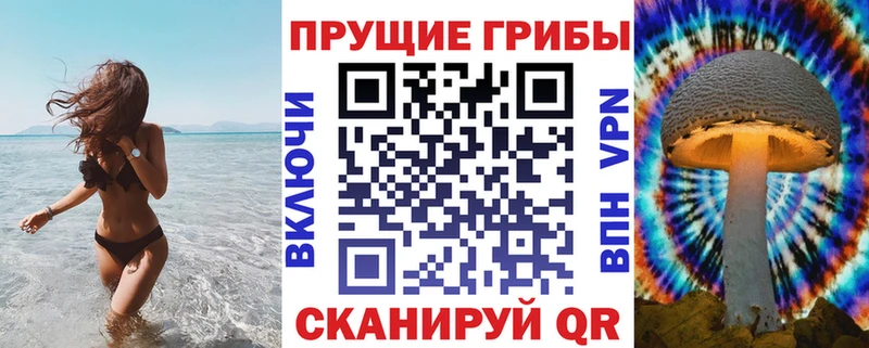 Галлюциногенные грибы Psilocybe  ОМГ ОМГ сайт  Карачев 